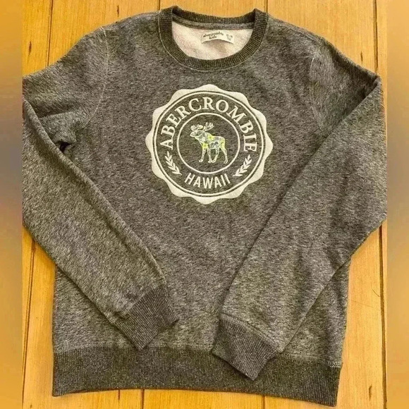 Abercrombie Kids Hawaii Embroidered Logo Gray 13-14 kid, adult xs-s - Picture 1 of 8